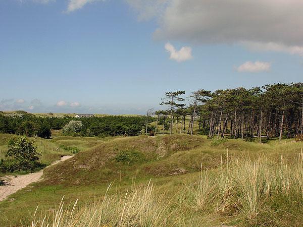 Duinzicht, Amelander Paradijs, Zonnig 6 Persoons Appartement Met Groot Terras Op De Begane Grond, Vrij Uitzicht, Upgrade 2024 Buren Kültér fotó